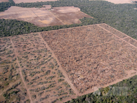 desmontes01.jpg
