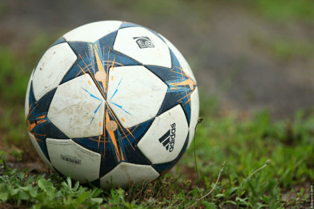 pelota.jpg