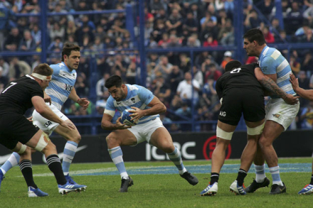 pumas2.jpg