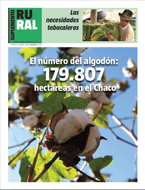El número del algodón: 179.807 hectáreas del Chaco