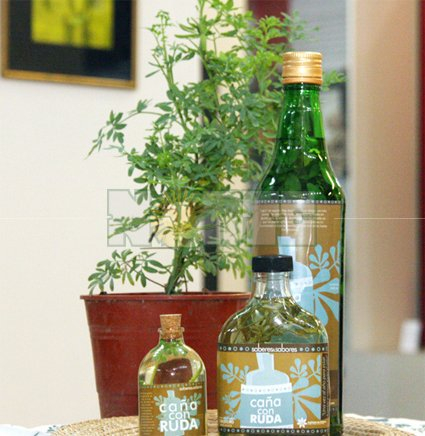 ruda04.jpg