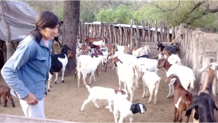Cabras para Todos.JPG