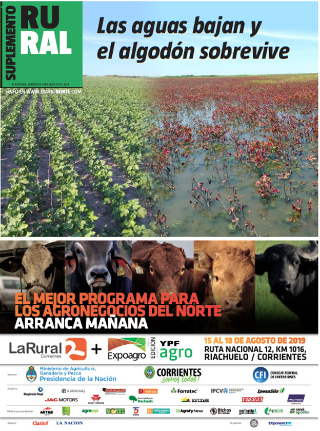 Las aguas bajan y el algodón sobrevive