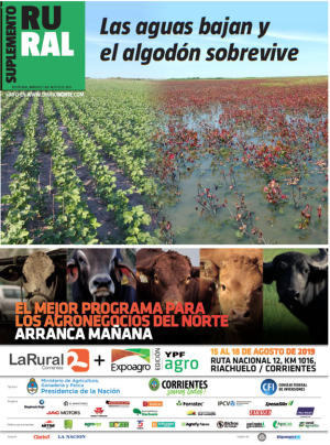 Las aguas bajan y el algodón sobrevive