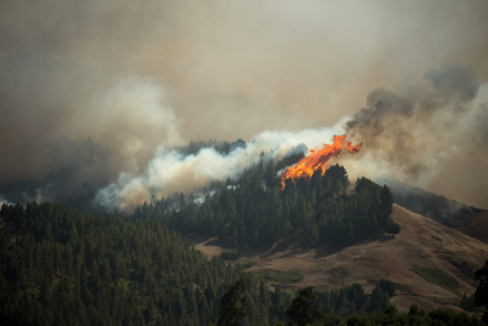 incendio1.jpg