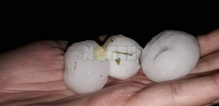 granizada3.jpg