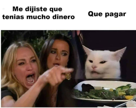 meme-gato3.jpg