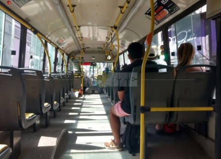 colectivo.jpg