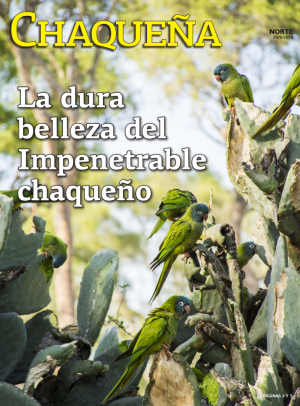 La dura belleza del Impenetrable chaqueño