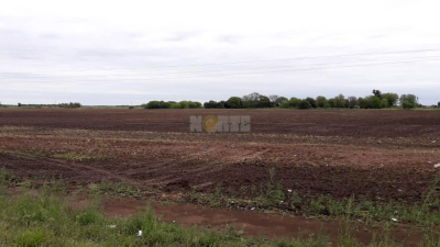 Llegó la lluvia y trajo alivio a gran parte del sudoeste