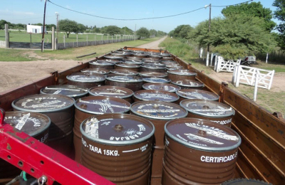 Diversificar exportaciones, el desafío hacia el desarrollo la economía chaqueña