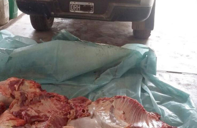 Abigeato: ruralistas denuncian que cuenta con complicidad estatal