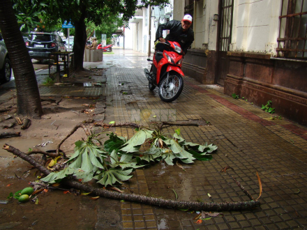 tormenta rama Rcia 2.jpg