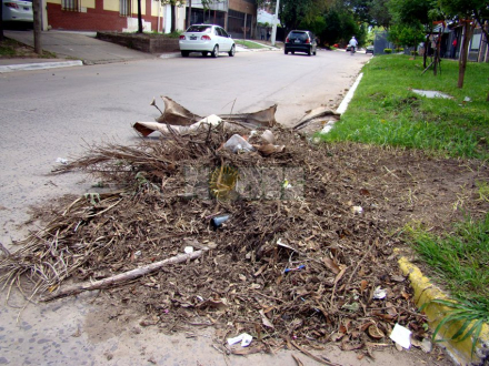 basura2.jpg