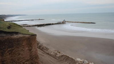 Hallan restos de un gliptodonte en Mar del Plata
