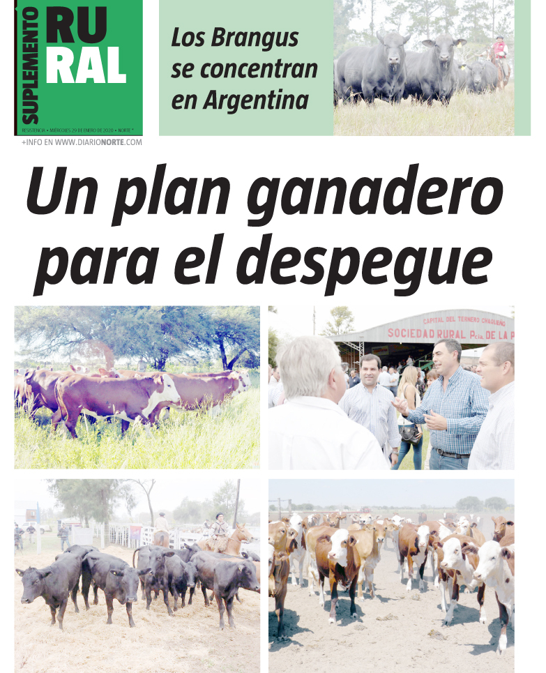 Un plan ganadero para el despegue