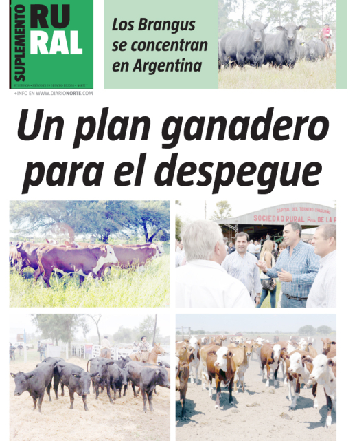 Un plan ganadero para el despegue