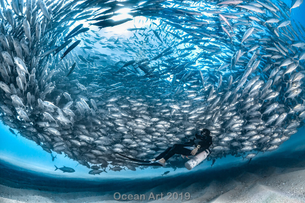 "El ojo del tornado"
3er lugar - Adam Martin - Baja California, México