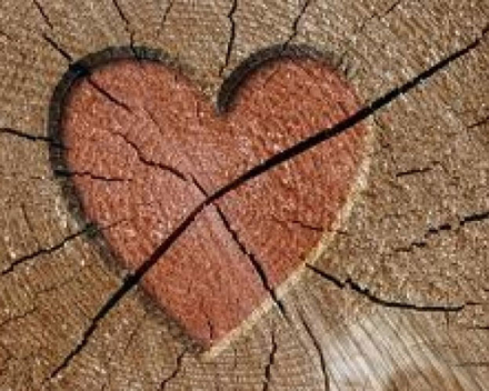 fin-del-amor5.jpg