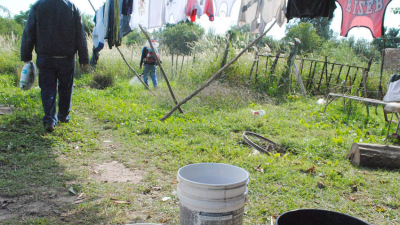Piden extremar las medidas de prevención contra el dengue