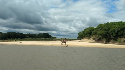 Buscan en el río Miriñay a reconocida profesional de la salud de Sáenz Peña
