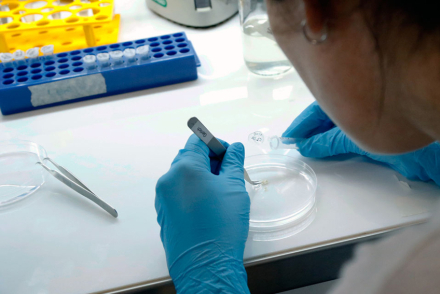 nuevo-coronavirus-covid-19.jpg