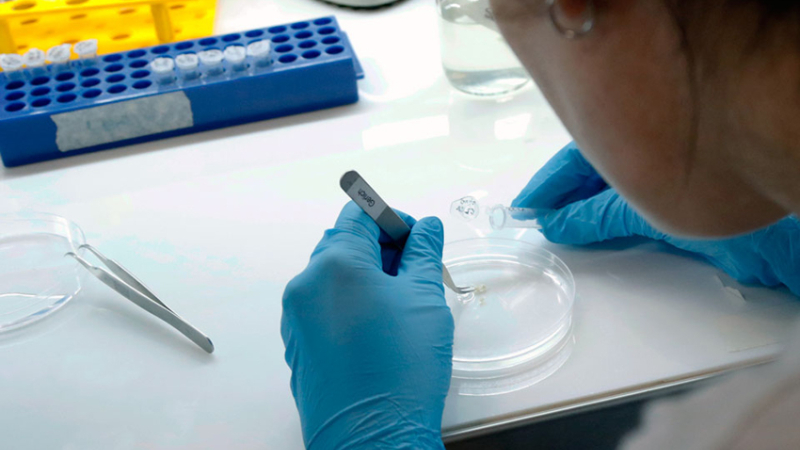 Gines González García confirmó dos casos de coronavirus en el Chaco