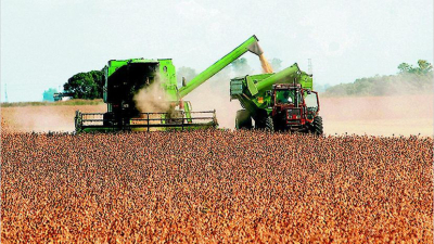 Bolsa de Comercio de Rosario y Agricultura trabajarán juntos para agilizar trámites