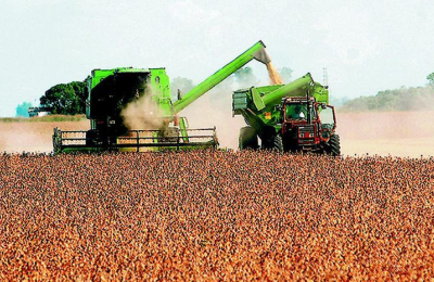 Las lluvias previstas aliviarán a campos secos de maíz y soja