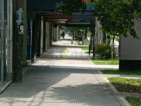Fotos: Fabian Maldonado.