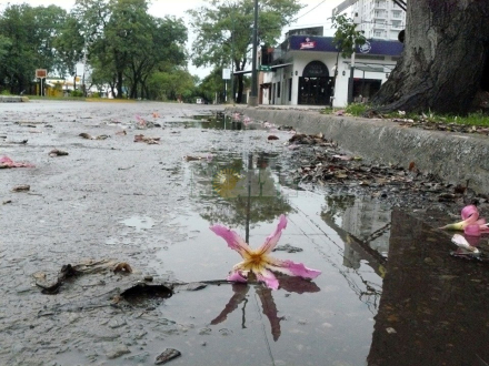 lluvia hoy.jpg