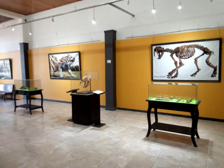 58MUSEO CHARATA SALA.jpeg