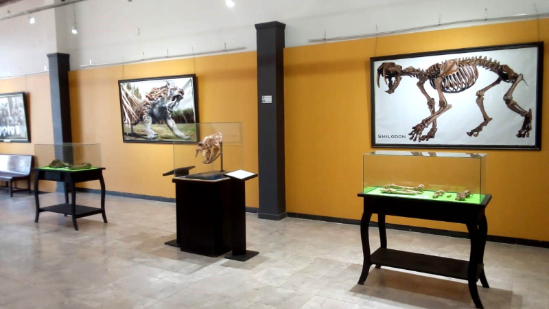 El Museo Regional de Charata pasó sus actividades a octubre
