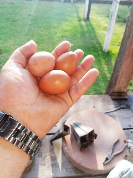 huevos.jpg