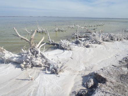 epecuen3.jpg