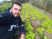LECHUGA-CRESPA-SEBAST.jpg
