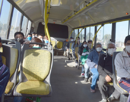 colectivo.jpg