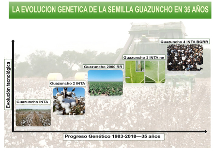guazuncho3.jpg
