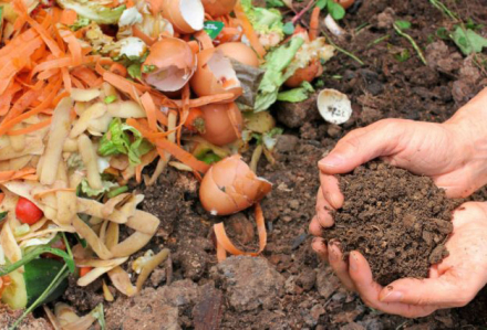 compost3.jpg
