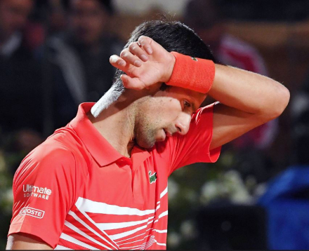 Novak 2.JPG