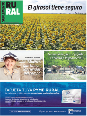 El girasol tiene seguro