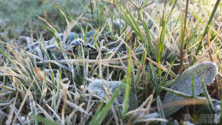 frio2.jpg