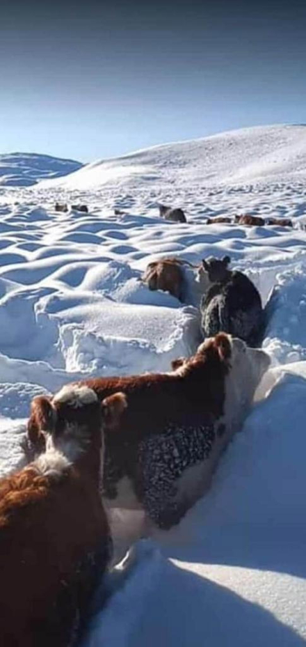 frio.jpg