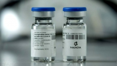 Comenzaron los estudios clínicos para evaluar el suero equino en pacientes con coronavirus