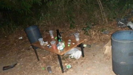 fiesta.jpg