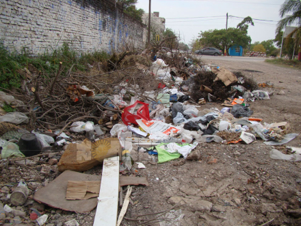 basura3.jpg
