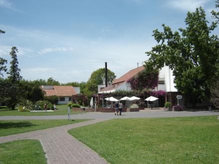 mariapolis4.jpg