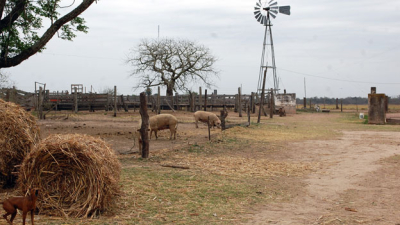 El clima que no deja levantar cabeza