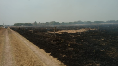 Incendio rural con un muerto