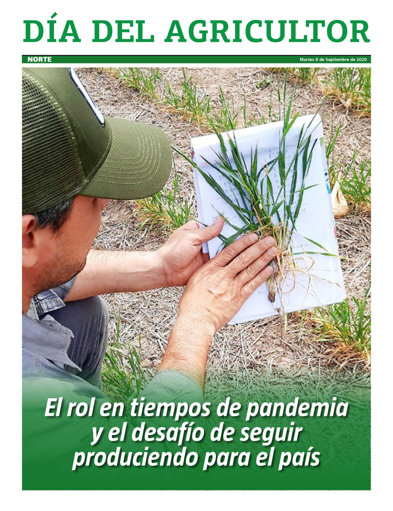 Dia del Agricultor